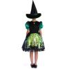 Image Déguisement de sorcière Sincere Party Witch06 - Chic vert à 19,99€