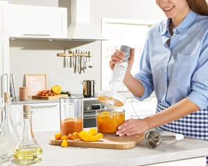 Image Mixeur Plongeant Bosch MSM66120 Electroménager ErgoMixx - 600W - Banc/Gris