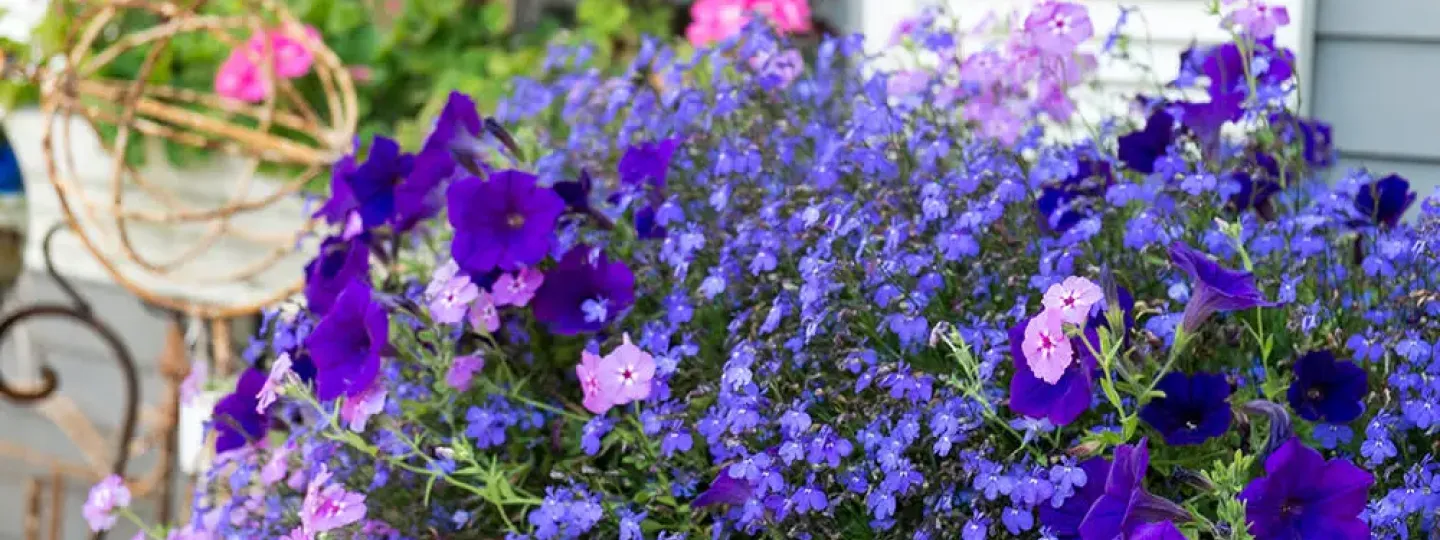Image Une jardinerie tournée vers le jardin et les animaux