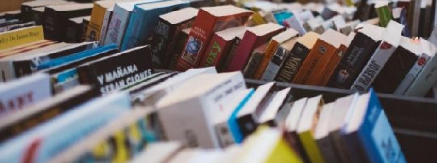 Image Une librairie généraliste en ligne
