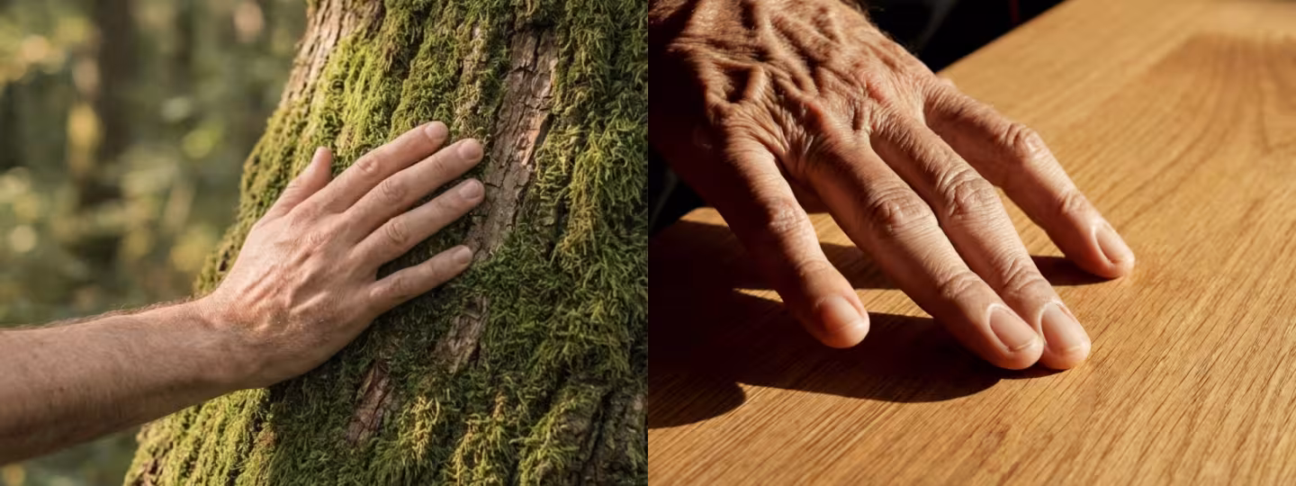 Image Du mobilier en bois massif