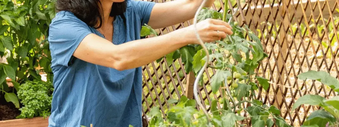 Image Une jardinerie française orientée nature