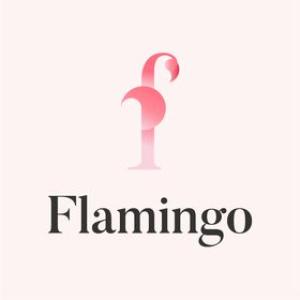 Image Flamingo Shop