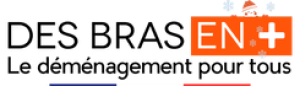Image Des Bras en plus