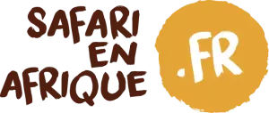 Image Safari En Afrique