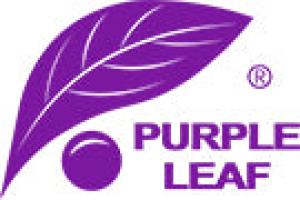 Image Purple Leaf