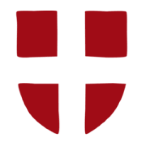 Image Snowleader logo