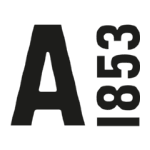 Image Aigle logo