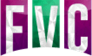 Image Vidline - Video Clip Manager
