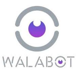 Image Walabot